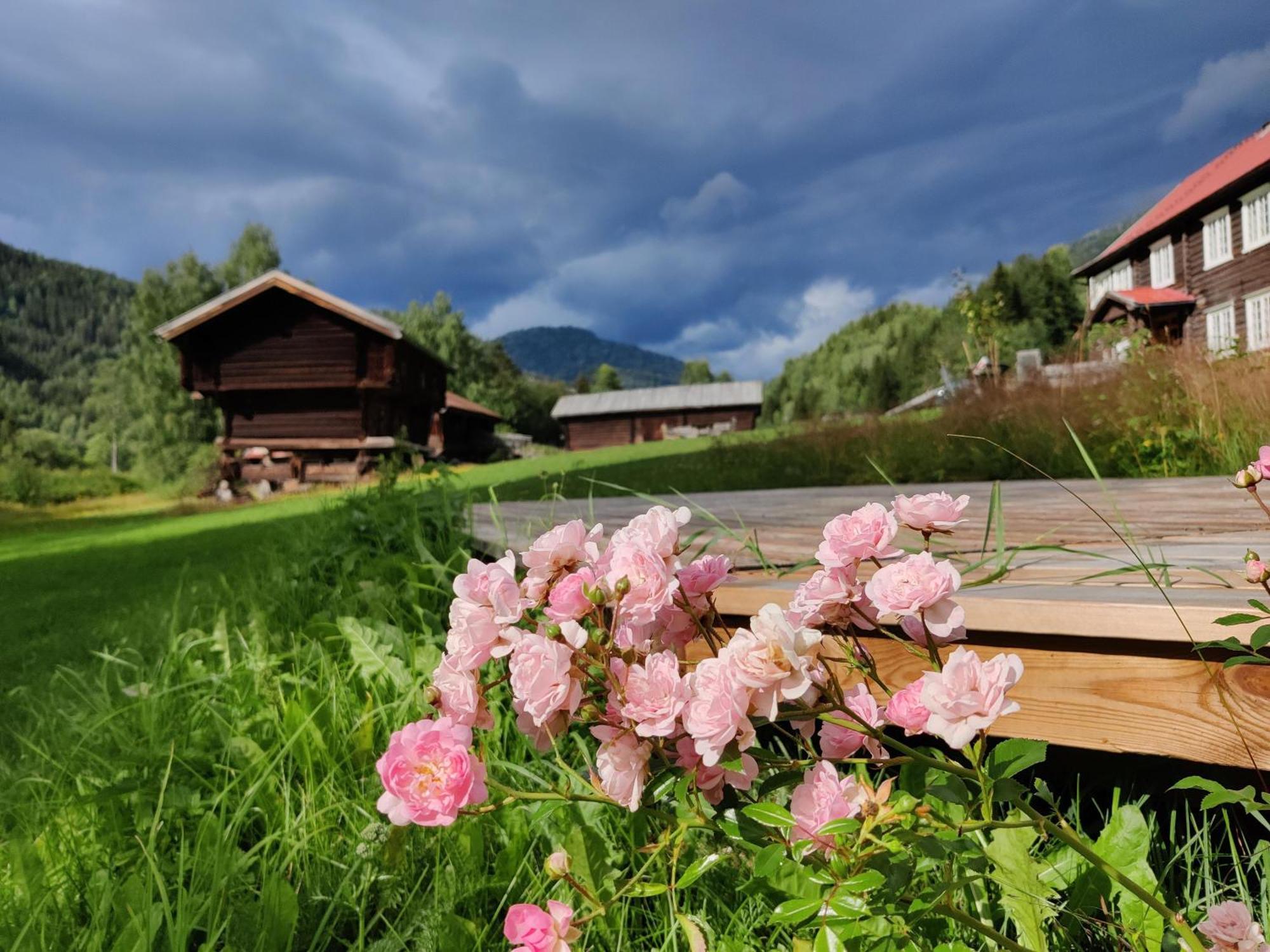 Sevletunet B&B&Cabins Rodberg Eksteriør bilde
