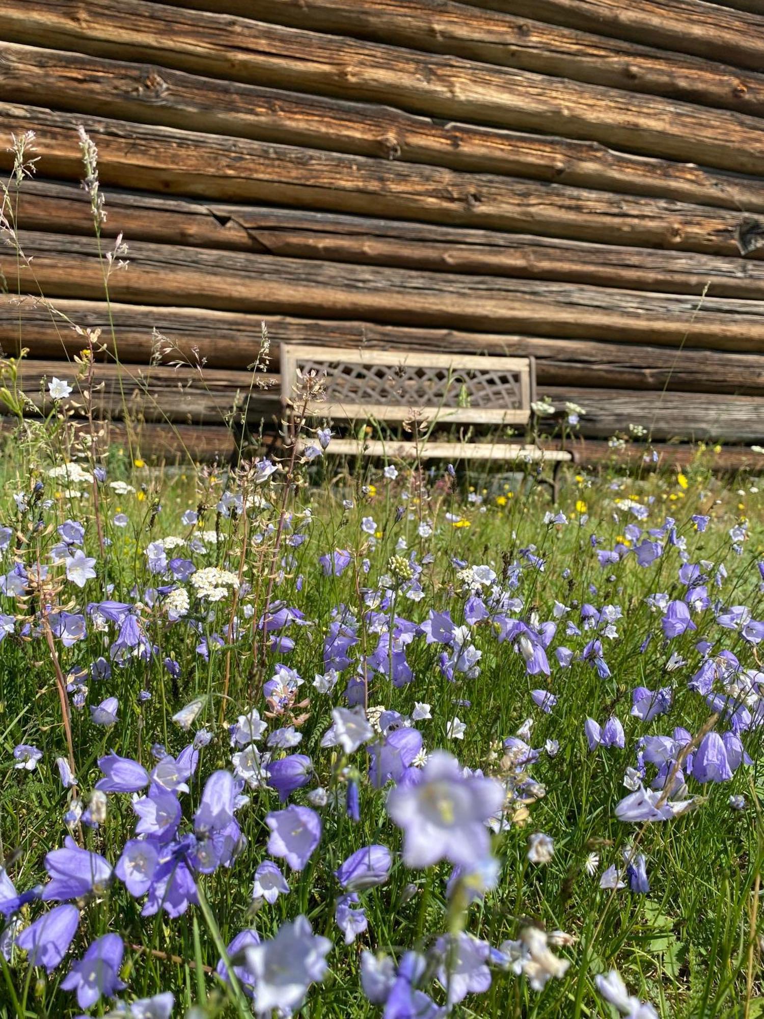 Sevletunet B&B&Cabins Rodberg Eksteriør bilde