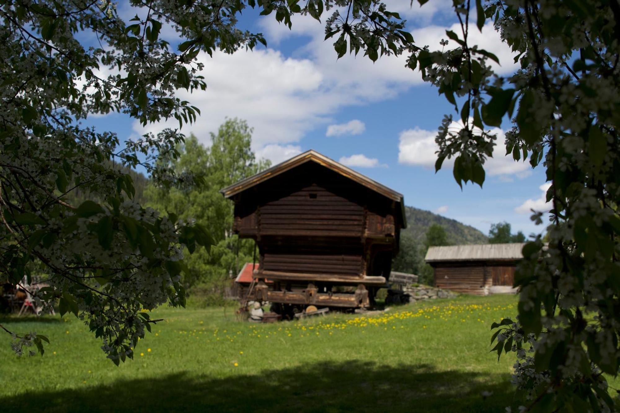 Sevletunet B&B&Cabins Rodberg Eksteriør bilde